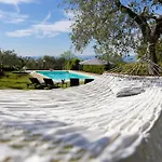 Magic Бардолино